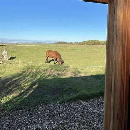 Stenbaekgard - Farm Glamping * Højslev