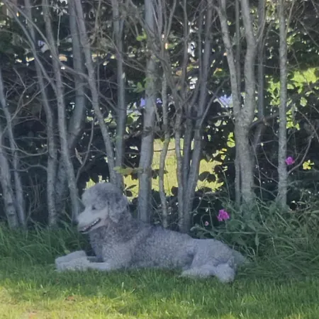 럭셔리텐트 Stenbaekgard - Farm Glamping *