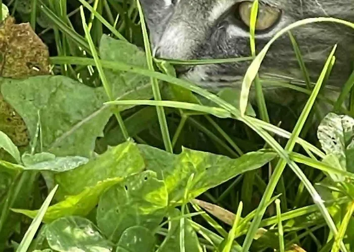 럭셔리텐트 Stenbaekgard - Farm Glamping *